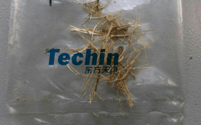 幹黃豆根莖丝瓜污视频入口前