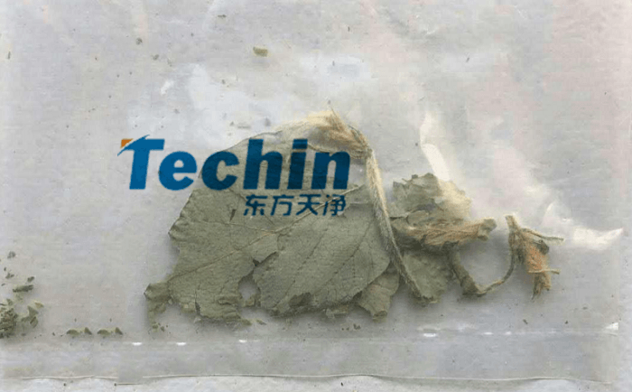 幹黃豆葉丝瓜污视频入口前