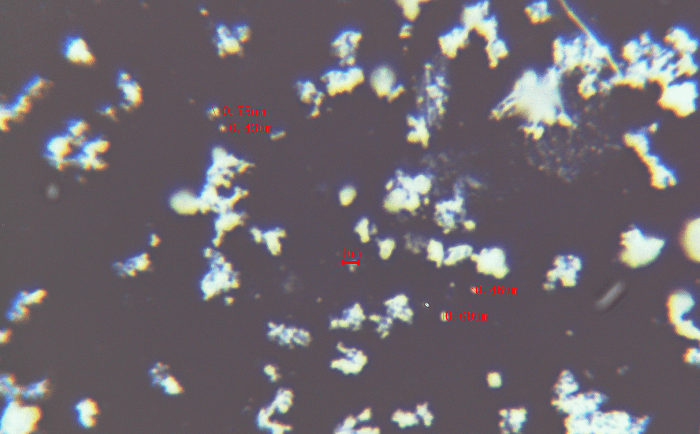 铌酸鋰丝瓜污视频入口後電鏡圖