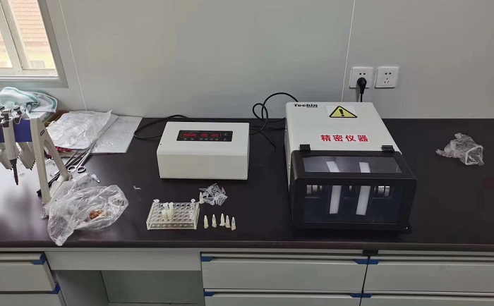 TJG高通量組織丝瓜污视频入口儀丝瓜污视频入口豬肉