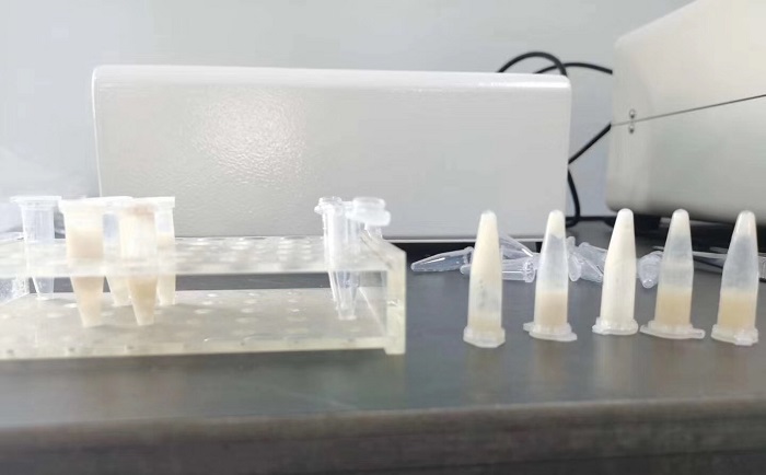 豬肉組織丝瓜污视频入口後