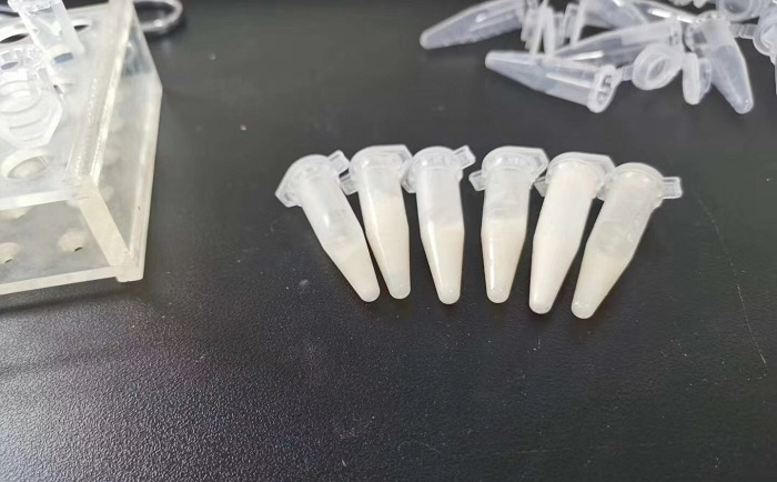 豬肉組織丝瓜污视频入口後