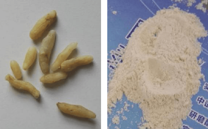 麥冬丝瓜污视频入口前後