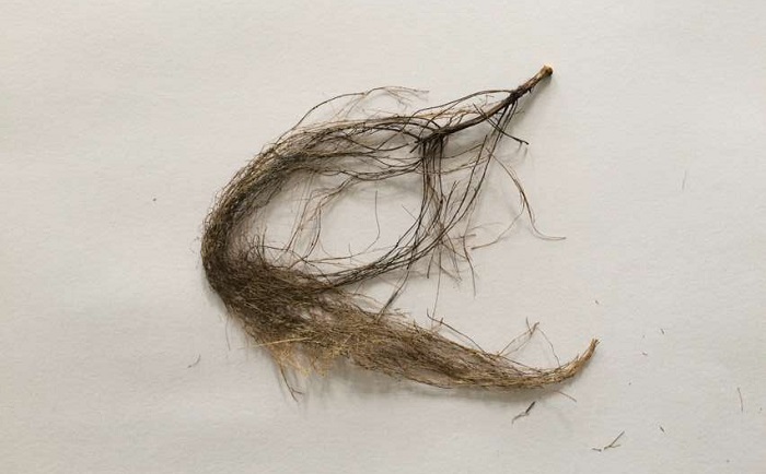 棉花根丝瓜污视频入口前